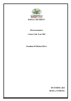 Microeconomics I (n).pdf